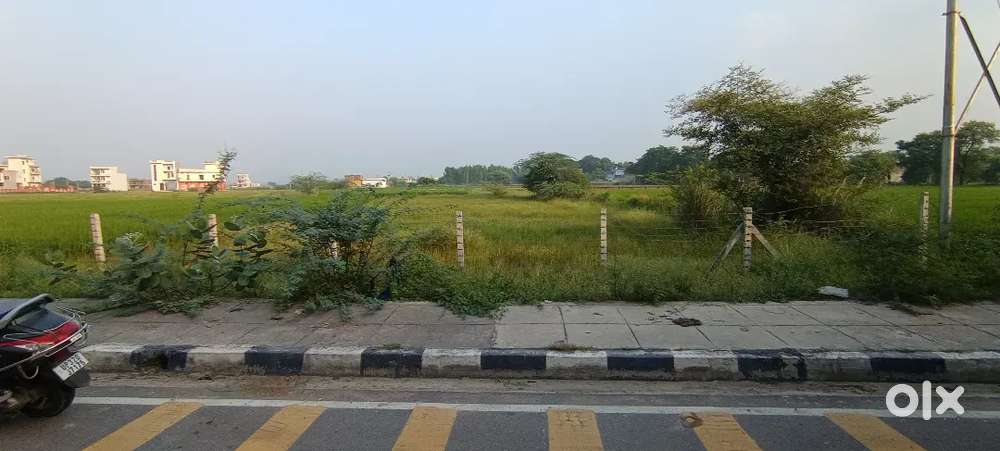 Pure commercial land.