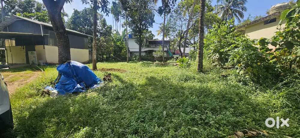 Plot for sale / Exchange8.25cents