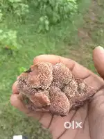 साइबलाइट क्वॉलिटी