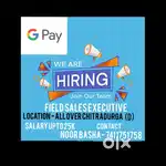 Sales executive