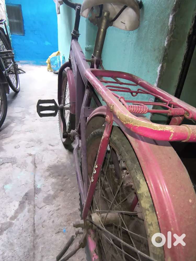 Purple colour cycle, Polo company