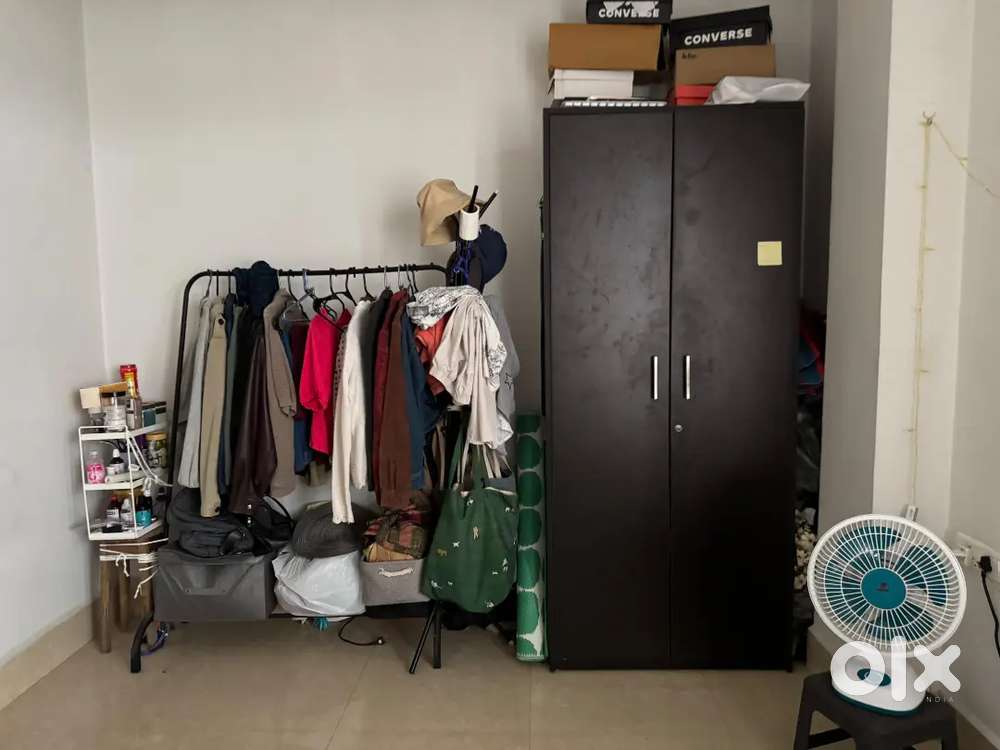 Looking for a roommate