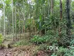എറണാകുളം ജില്ലയിൽ അരക്കുന്നം 40സെന്റ് പ്ലോട്ട് വില്പനക്ക്.