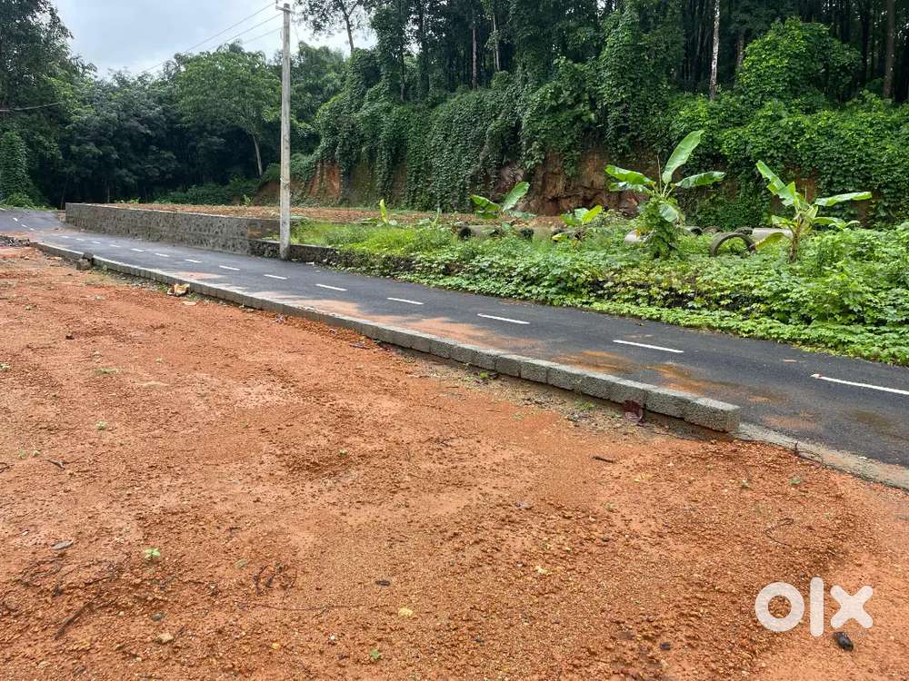 Kothamangalam Nellimattom house plots for sale