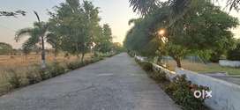 1250 sqft Plot for Sale in Amaltas Golden Mile, Phanda, Bhopal
