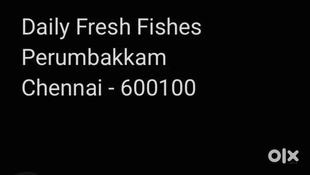 Meat Cutter Required Fish and  Chicken