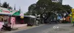 5000sqrfts dtcp low budget plots for sale Chengalpet thirukalukundram