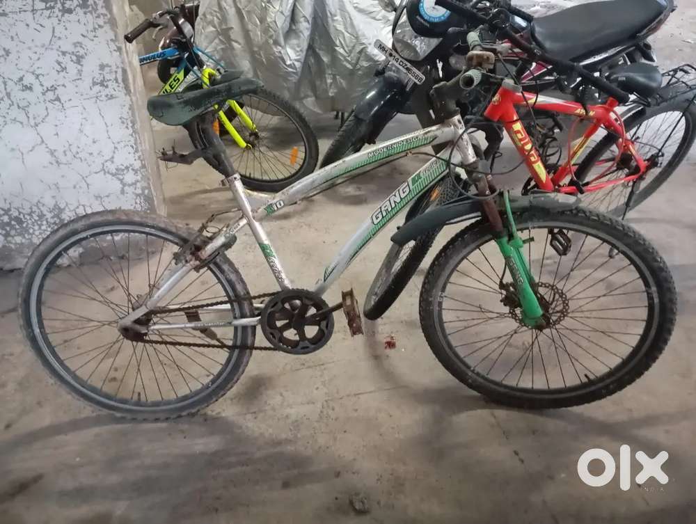 Ex Series gang bicycle