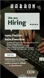 Sales Field Executive