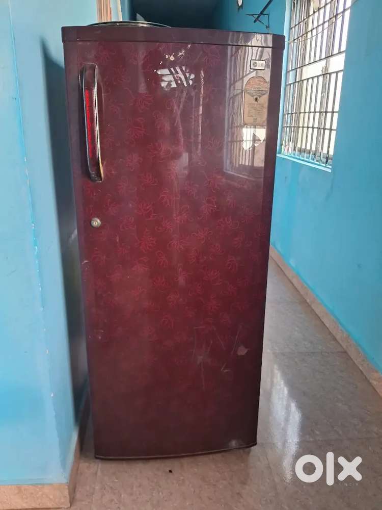 L G fridge