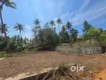 Plot for sale in sreekariyam