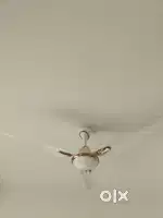 Bajaj Ceiling fan