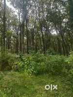 Nawada Heights