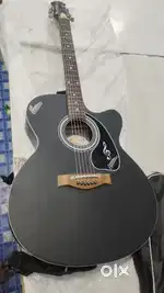 Signature guiter