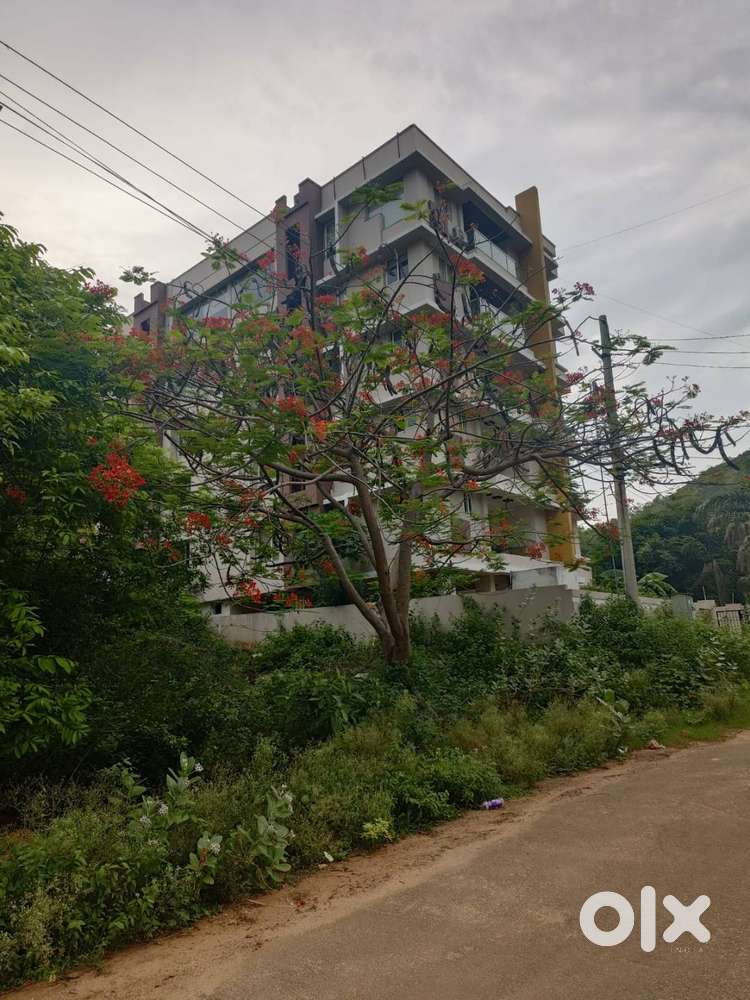 INDEPENDENT HOUSE FOR SALE AT MURALINAGAR (MADHAVADHARA)