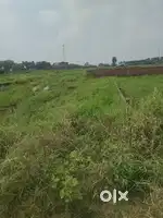 Land for sale 75000 katha