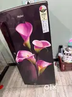 Haier freezer