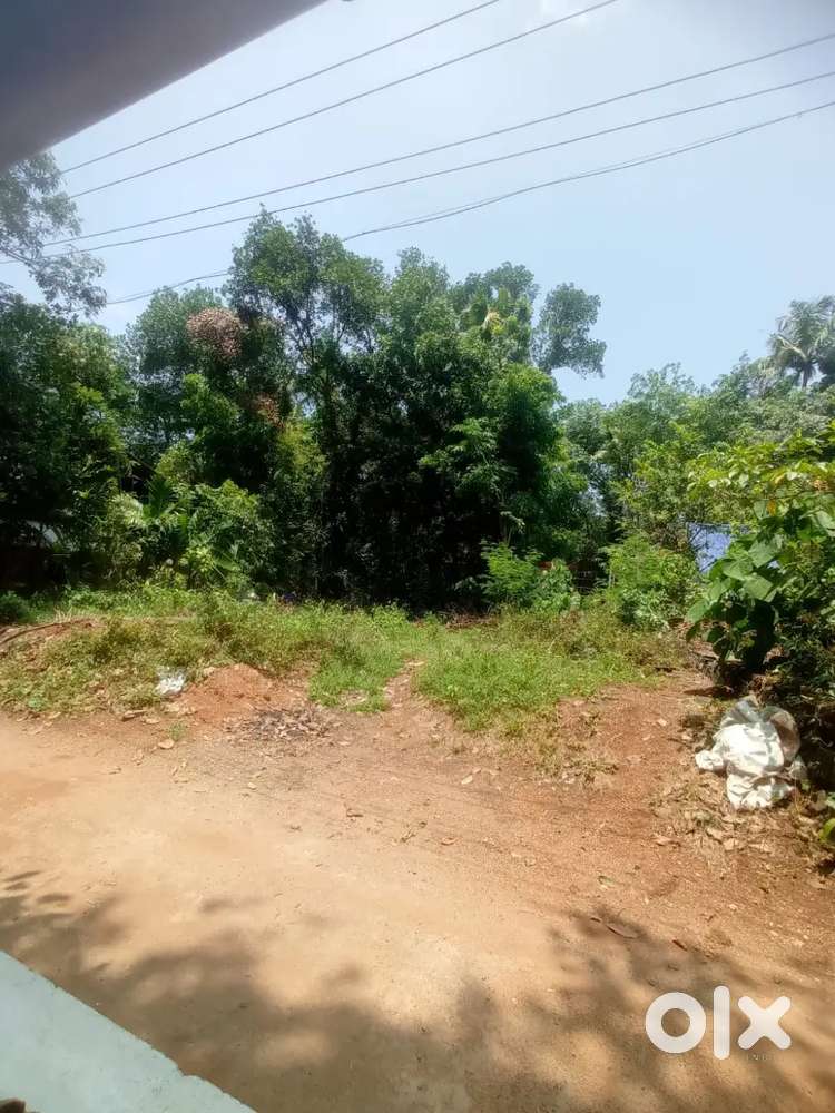 6 Cent plot for sale at keezhilam, Perumbavoor