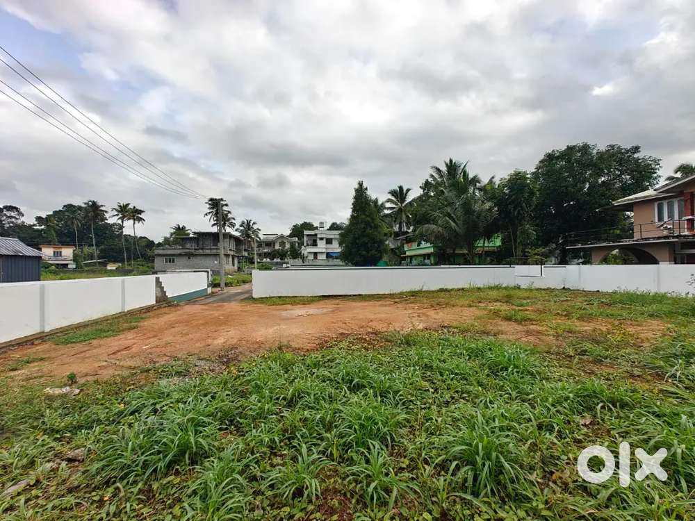 തൊടുപുഴ KSRTC അടുത്ത് ഹൗസ് plot കൾ വിൽപ്പനയ്ക്ക്