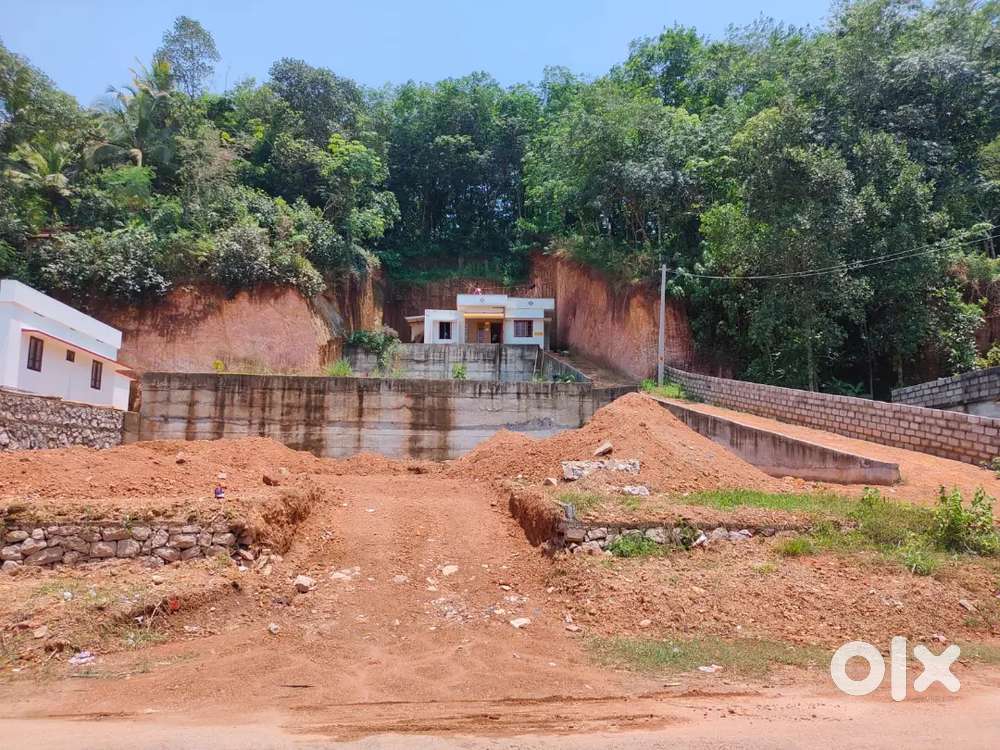 കന്യാകുളങ്ങര നെടുവേലി സ്കൂളിന് അടുത്തായി 5.5 സെന്റ് വസ്തു വില്പനക്ക്