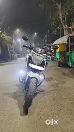 Honda hornet
