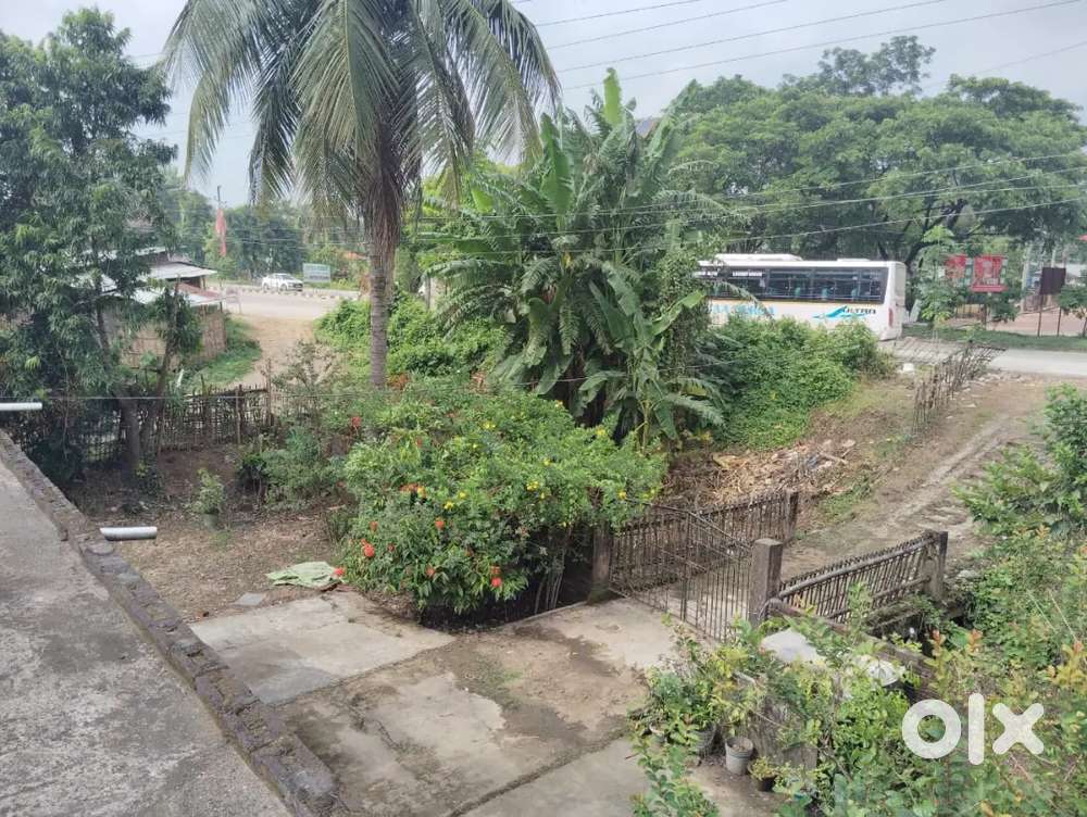 2 Katha land for lease next to National Highway in Jagiroad Town
