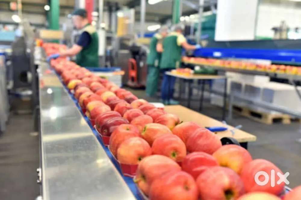 Wanted m/f packing helpers inside warehouse