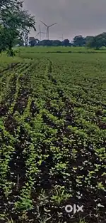 Want to sell my farm house in jamthun near zee school in isarthuni