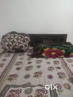 Need roommate