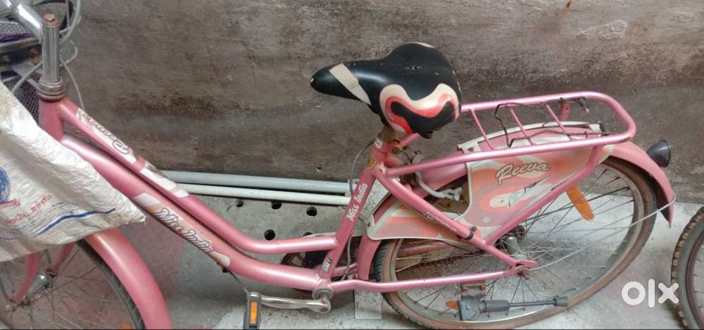 Ladybird cycle