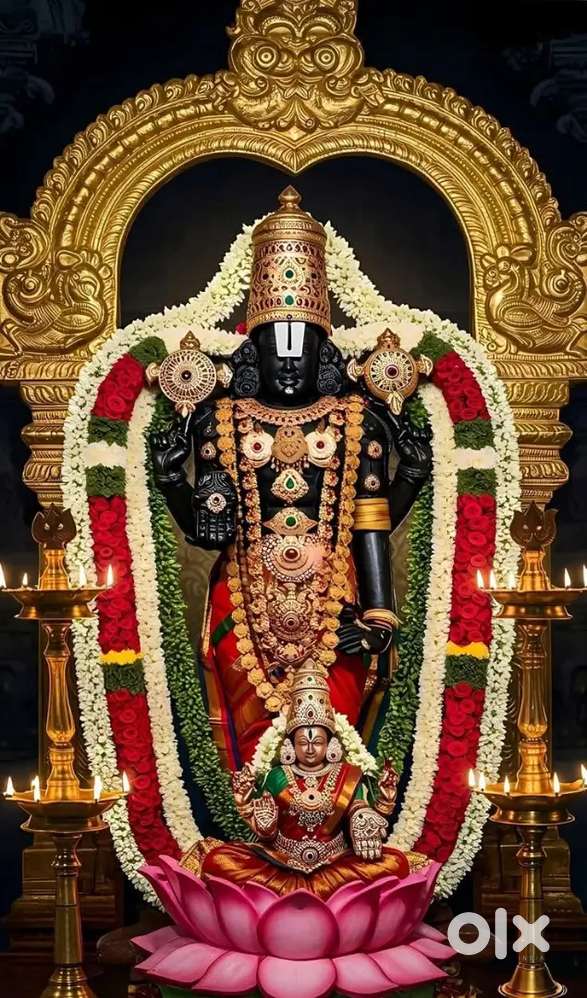 Looking for councilor