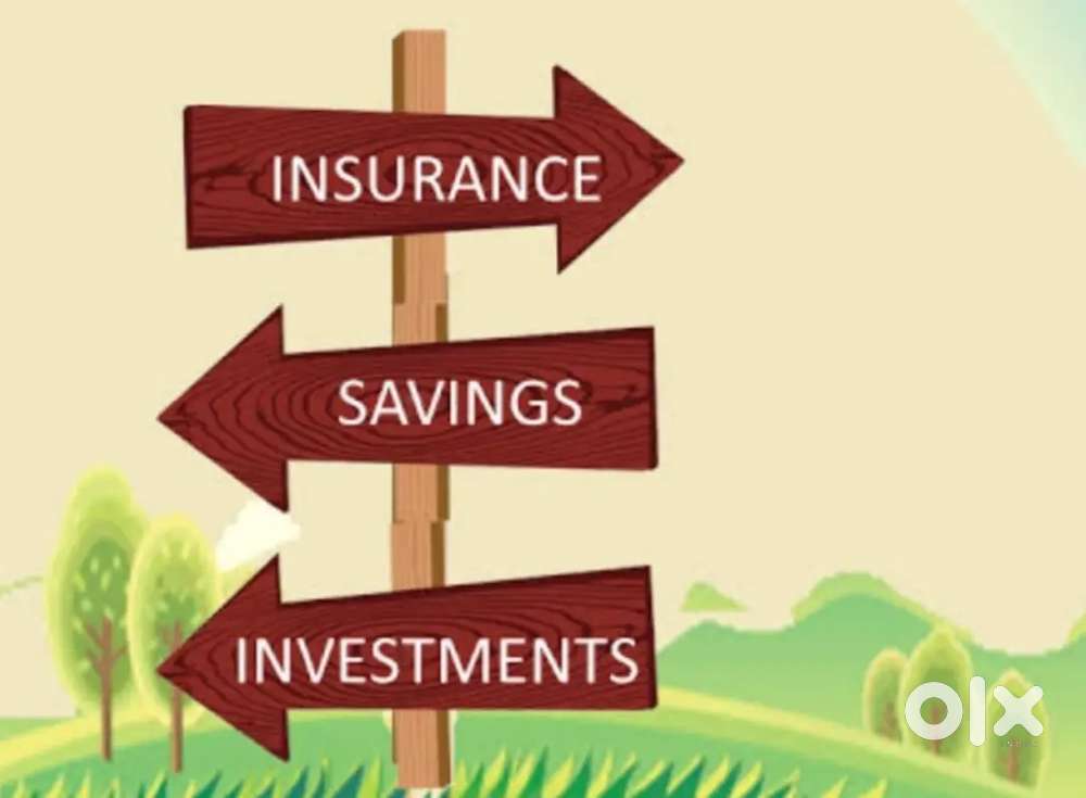 Financial and Life advisor
