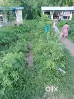 1 kotha land for sale at Nonoi Chariali
