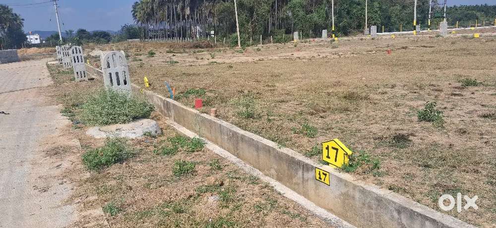 Near adharsha le out