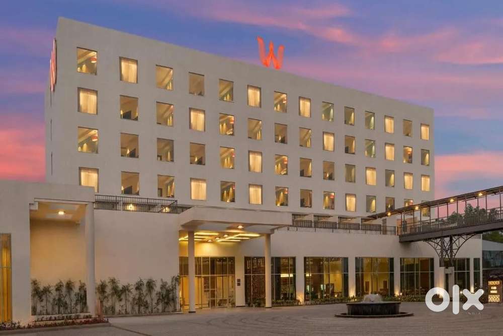 Job & Room: Fresher Waiter