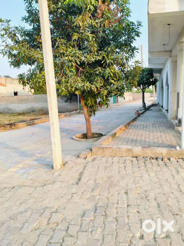 Plots in Knowledge park II with bank loan near amity university noida