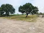 Plot Sale in Shyam Vatika (Aslat Nagar, Near by Kiet College) Gzb