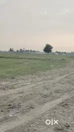 Free hold investment plots in jewar city