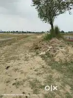 Kushinagar me pakawainar me job karne ke liye sampark kare