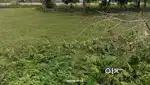 1bigha     rasta kakhot rajgarh road