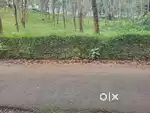 92 സെൻ്റ് പുരയിടം വിൽപ്പനയ്ക്ക്.