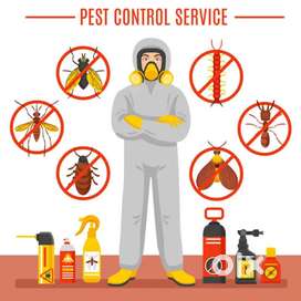 Pest Control Residential & Commercial