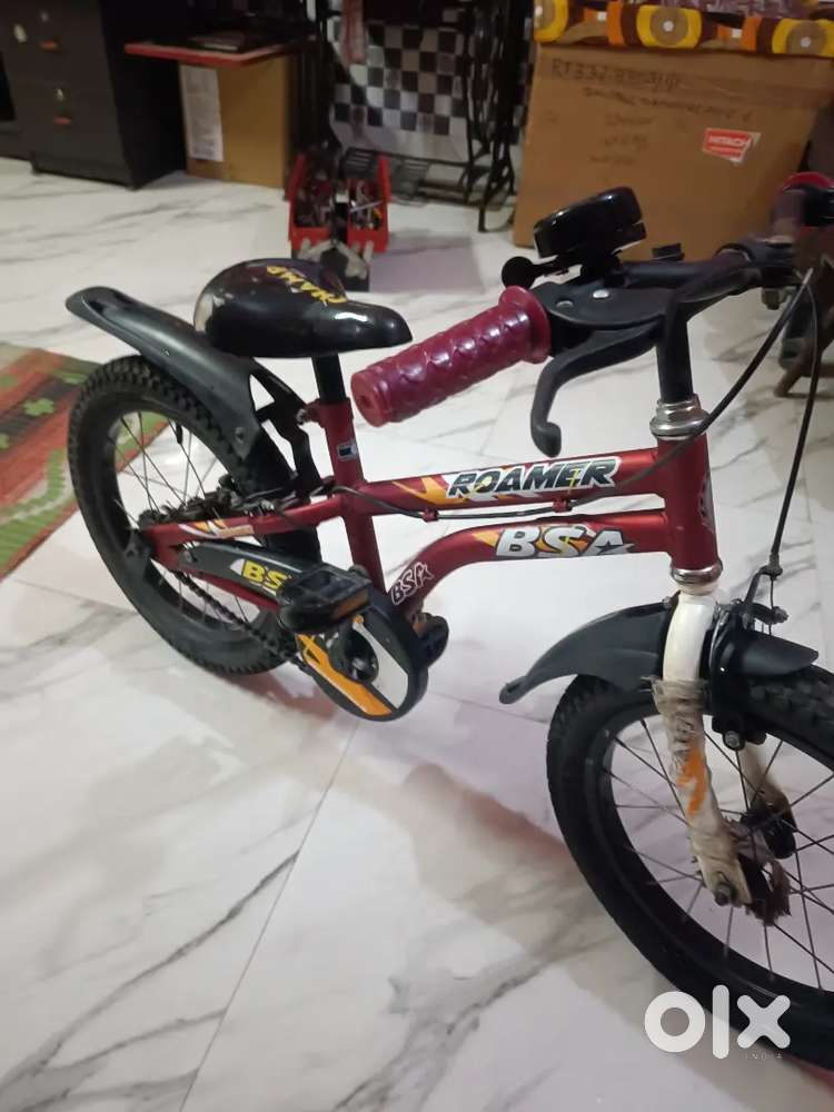 BSA Roamer