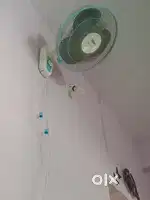 Sell and buy