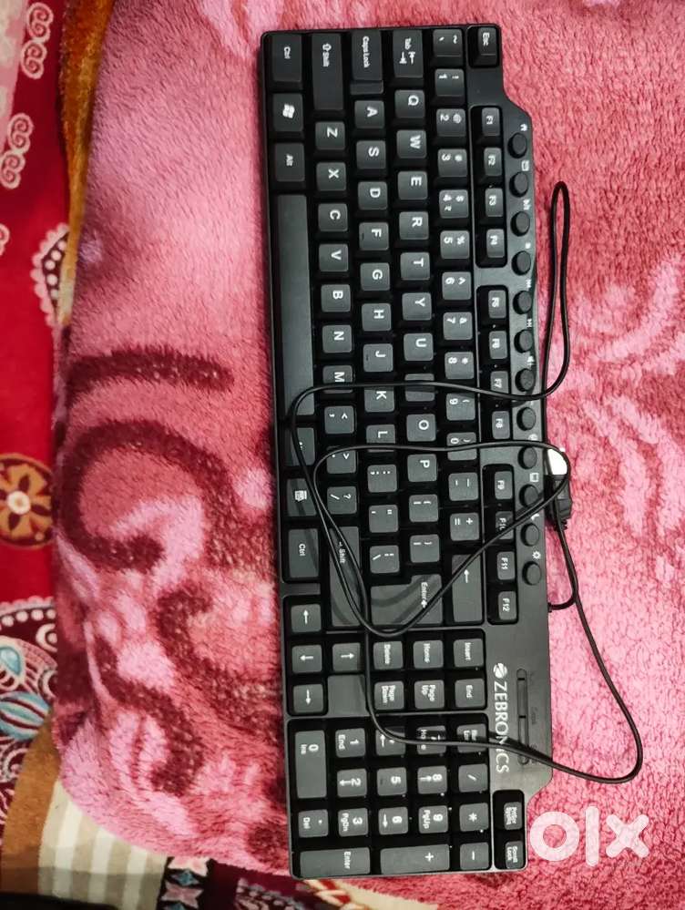 Zebronics keyboard