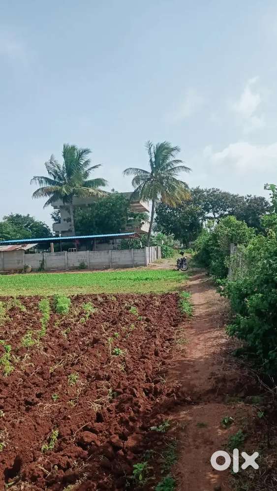 Plot for sale near,sagar road patelguda