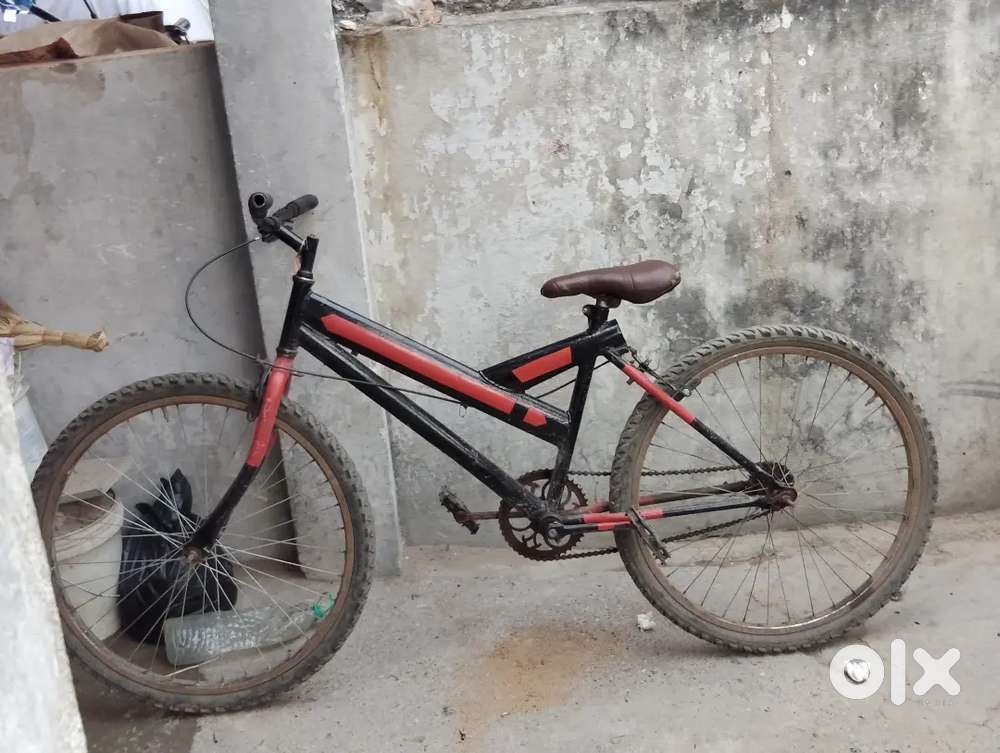 Custom painted cycle