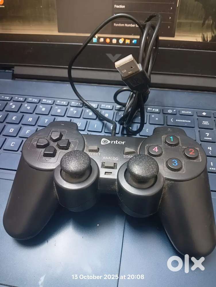 Enter dual analog controller
