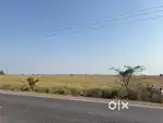 पान्हौरी टोल टैक्स के पास 160 फ्रंट 7.25 बीघा on Road