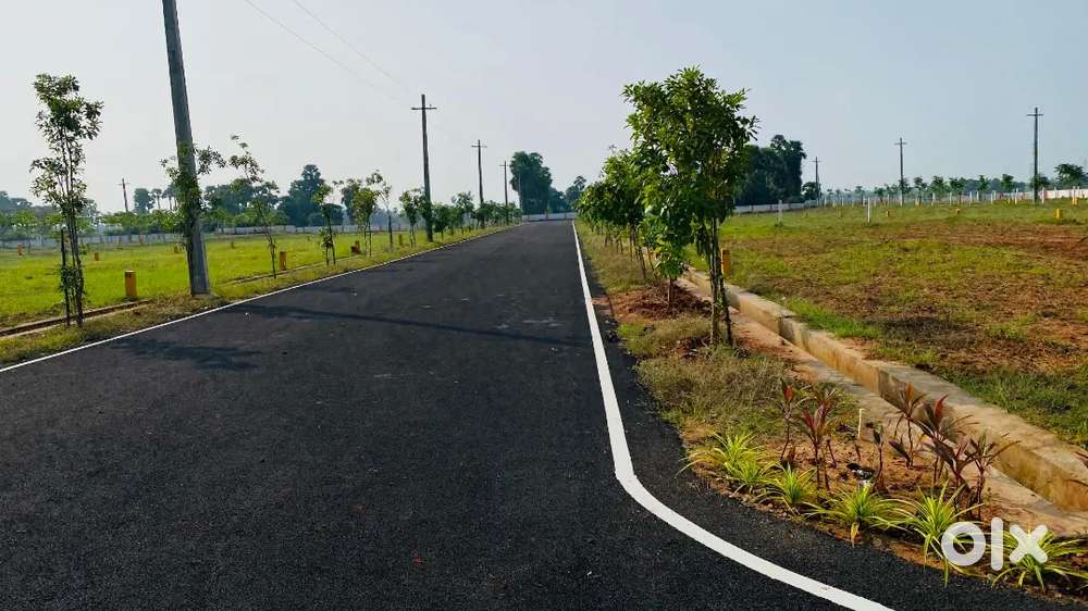 Bhogapuram plot for sale